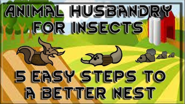 Insect Husbandry