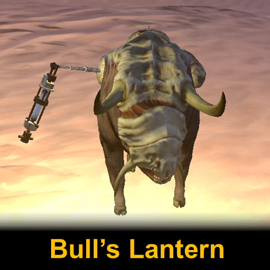 Bull's Lantern