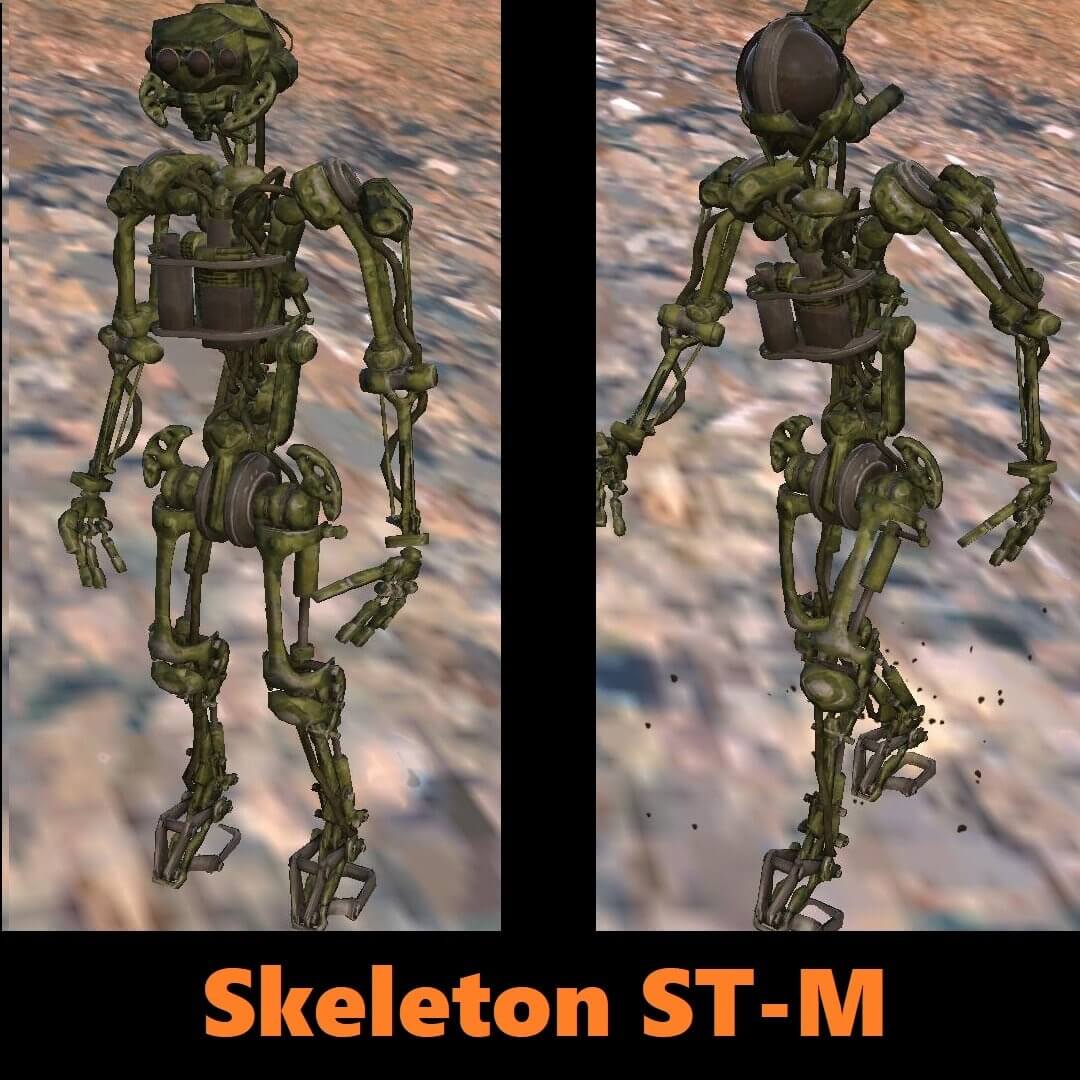 Skeleton ST-M